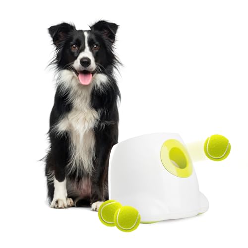 ALL FOR PAWS Ultimatives Wurfspielzeug Interaktiver Hund Automatischer Ballwerfer, Tennisball Wurfmaschine für große und große Hunde, 3 Bälle enthalten (Hundeball-Launcher Maxi)