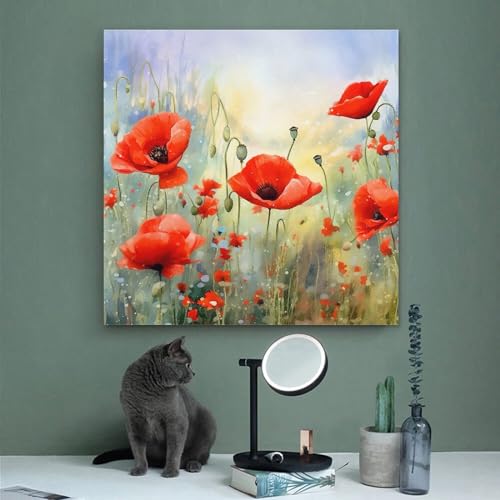 Affiches murales tulipes rouges format carré 50x50 sur toile