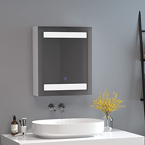 HOMCOM Miroir Lumineux LED Armoire Murale Design de Salle de Bain 2 en 1 dim. 50L x 15l x 60H cm MDF...