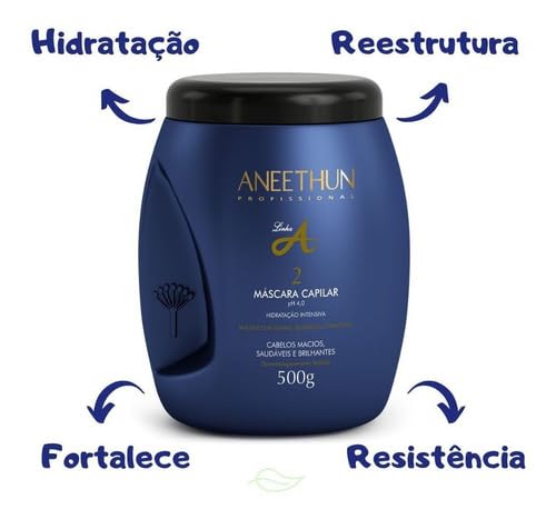 Kit Cronograma Capilar Aneethun Reparação Essencial Máscara Linha A 500g, Máscara Repair System 250g