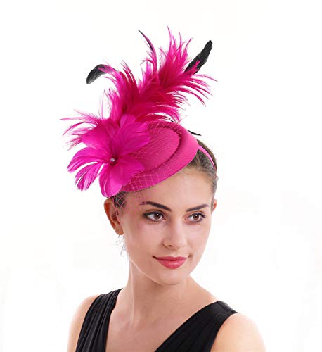 SAFERIN Fascinators Hat Flower Pillbox Feather Mesh Kentucky Derby Tea Party Headwear for Women (c1-Fuchsia Feather)