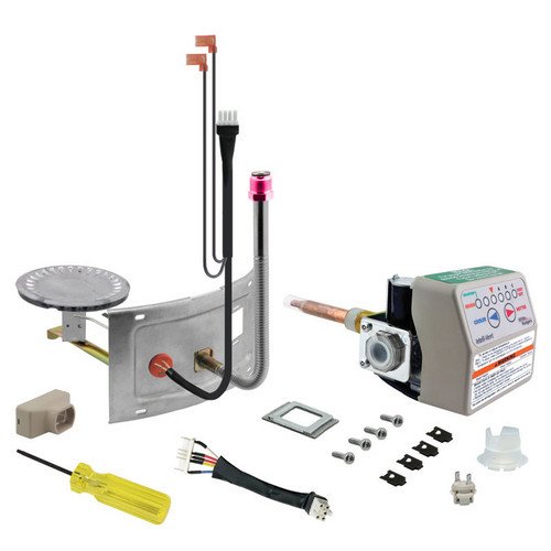 Rheem SP20171A Water Heater Gas Control Thermostat / Burner Assembly  Retrofit Kit - Liquid Propane - Water Heater Replacement Parts - Amazon.com