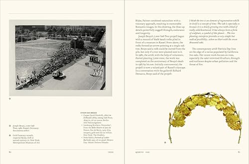 The Secret Language of Plants : Art, Nature & Symbolism /anglais