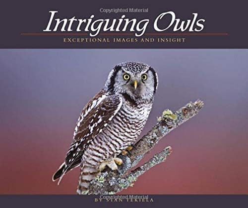 Intriguing Owls: Exceptional Images and Insight (Wildlife Appreciation)