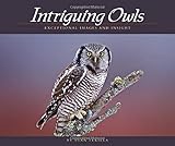 Intriguing Owls: Exceptional Images and Insight (Wildlife Appreciation)