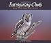 Intriguing Owls: Exceptional Images and Insight (Wildlife Appreciation)