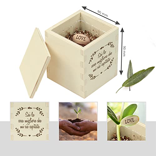 Casa Vivente Fagiolo Magico con Messaggio d'Amore