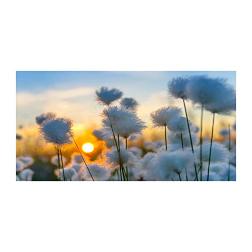 Dosseret en verre Tulup 100x50cm fond de hotte blanc fleurs linaigrette