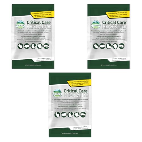 Oxbow Critical Care Herbivore Anís | Paquete Triple | 3 x 36 g | Alimento complementario para herbívoros | Heno de fleo Alto en Fibra | para apoyar la digestión y la función intestinal