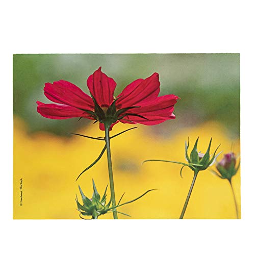 Sandrine Marbach Set de Table Velours Collection Fleurs - Cosmo Fuschia Fond Jaune