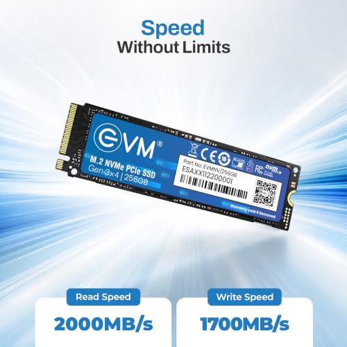 EVM Store EVM 256GB NVMe Gen 3x4 Internal SSD (2280) - Image 4