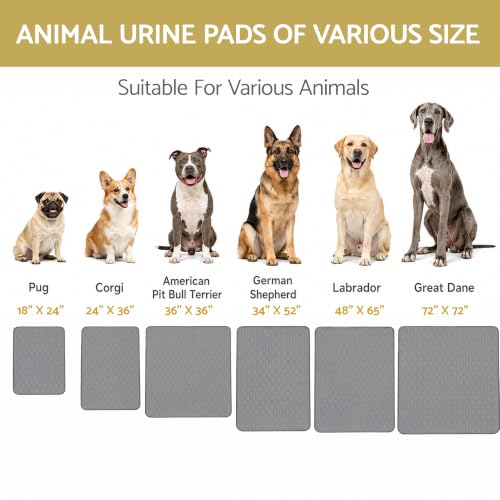Image of Washable Puppy Dog Pee Pad, 24 inchX36 inch 2pcs Reusable Puppy Pads, Waterproof Whelping Training Mat for Playpen Crate, Floor, Bed,Sofa and Trunk