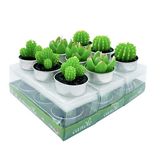 Bougies chauffe-plat paraffine en forme de mini cactus durables