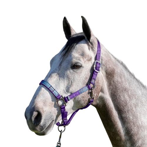 Kensington Premium Breakaway Halter with Padded Nose — Added Breakaway Safety Measures — Snap at Throat for Identical Fit Each Time