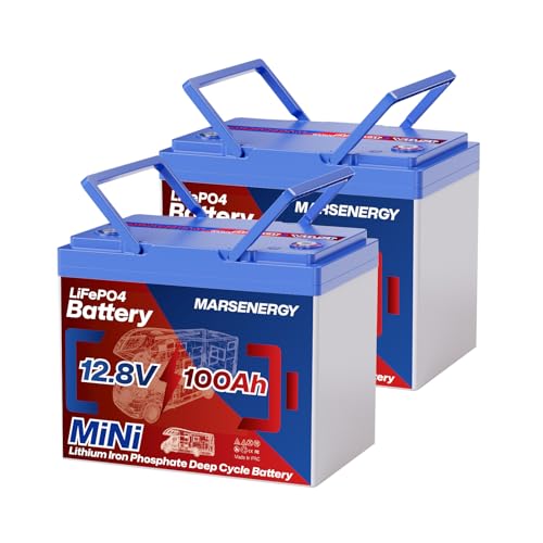 12V 100Ah Lifepo4 Battery, Bci Group 24, Built-In 100A