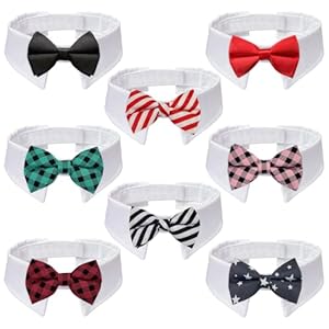 Koolmox Hunde-Fliege 8 Stück Smokinghalsband