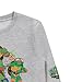 Teenage Mutant Ninja Turtles Ninja Turtles Boys Crewneck Sweatshirt - Leonardo, Raphael, Donatello, Michelangelo, Splinter Embroidered Sleeve Patches Mens Shirt (Grey, 14/16)