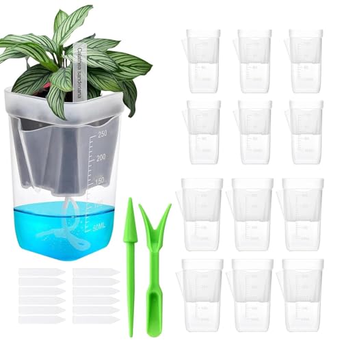 Generisch Pequeñas macetas de autoriego – 12 vasos transparentes con agujeros de drenaje – Maceta con indicador de nivel de agua, para salón, balcón, terraza, jardín, interior y exterior