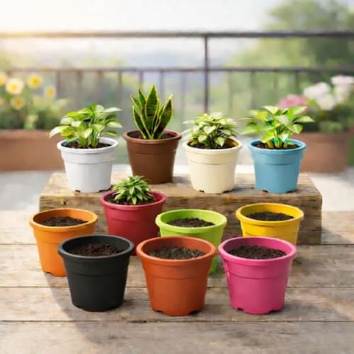 Indian Gardens - 4 inch Indoor Plastic Small Colour pots | Plasti...