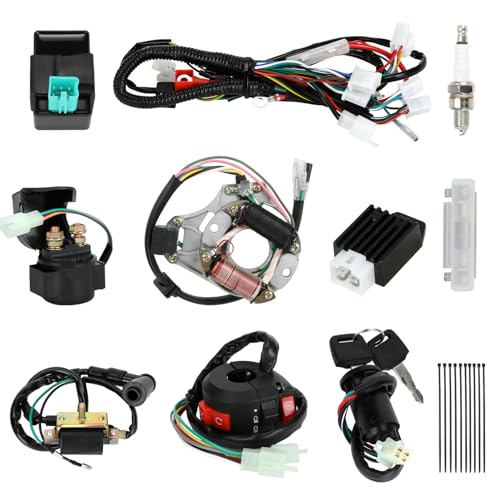EOPOAYI Complete Wiring Harness Kit Compatible with Tao tao Coolster 110cc 125cc Chinese ATV 4 Stroke Quad 4 Wheeler Parts with Starter Solenoid Relay Ignition Coil CDI Box Stator Voltage Regulator