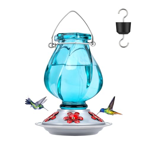 Hummingbird Feeder, BOLITE Glass Hummingbird Feeders for Outdoors Hanging, with Ant Moat and Five Feeding Ports, 22 Ounces, Leak Proof, Blue Bottle