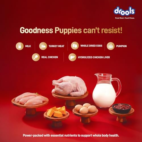 Image of Drools Puppy Dry Dog Food 2.8kg + 1kg | Meat and Milk Flavour | Supports Healthy Brain Development and Cognitive Function | Antioxidants | Chelated Minerals | Better Bioavailability of Minerals