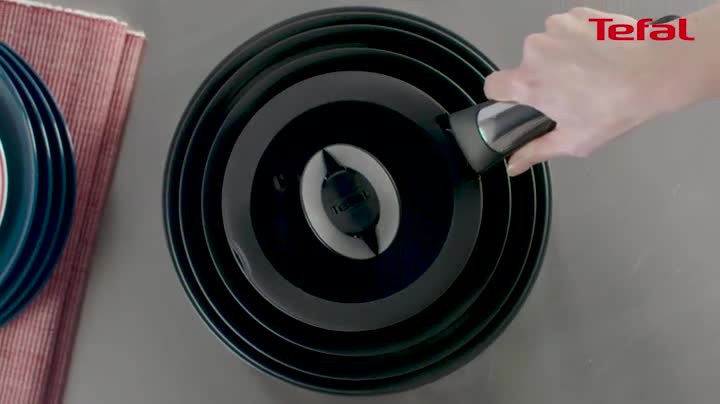 Tefal 20 cm Ingenio Stainless Steel Pasta Insert, Silver