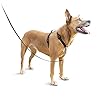 PetSafe-3-in-1-Dog-Harness-No-Pull-Solution-for-Dogs-Reflective-Dog-Harness-Front-D-Ring-Clip-Helps-Stop-Pulling-Comfortable-Padded-Straps-Top-Handle-Enhances-Control-Runs-Walks-Hikes PetSafe 3 in 1 Dog Harness