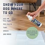 Rocco & Roxie Puppy Potty Training Go Here Spray for Dogs - Attract Dog to Pee in One Spot - Behavior and Housebreaking Aids - Indoor and Outdoor - Tools and Supplies for Dogs and Puppies Made in USA - Image 3