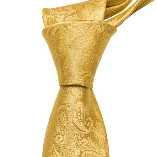 Image of Barry.Wang Men Ties Paisley Woven Silk Necktie Set with Pocket Suqare Cufflinks Formal