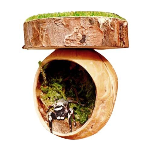 Springende Spinne – handgefertigter magnetischer Unterschlupf aus Holz, natürlicher Spinnenlebensraum, Zaunzubehör für Vogelspinnen, Mantisen, Amphibien, kleine Haustiere, Haustiergehege, Dekoration