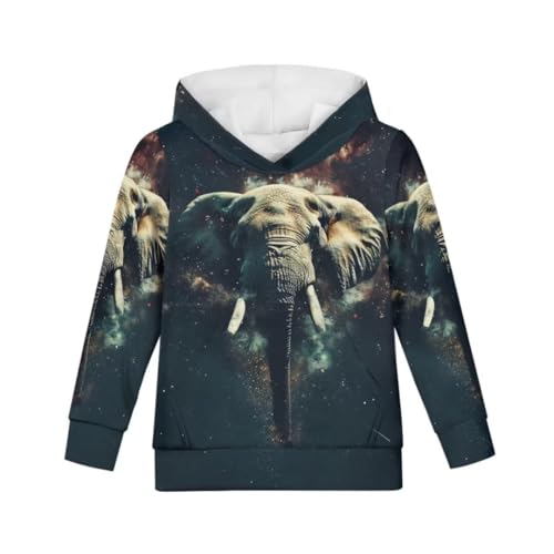 Pinupub Unisex Kids Animal Print Hoodies Boys Girls Long Sleeve Casual Pullover Hoodie Sweatshirt
