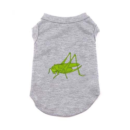 [QINTIW] �� �ĕ� ���� �� ���̕� �V�� �����₷�� ���^�� ���p ���킢�� ������� �y�b�g�� �L ���o�|�� ���U�� �L�O�B�e �t�� ���E�ȒP �E�ѕی� �m�� �q�� ���� �O���[ �ėp S �ʋC �L�k�� ���^�� �h�b�O�E�F�A ���o����