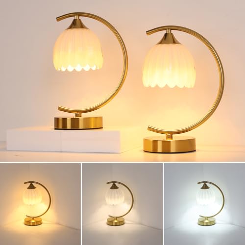 Image of Shenmoyl Set of 2 Tulip Table Lamp, 5200mAh Cordless Touch Control Table Lamps with 3 Color Temps & Stepless Dimming, Rechargeable Battery Table Lamp for Living Room, Bedroom, Shelf (White Tulip)