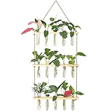 XXXFLOWER Wall Hanging Propagation Station with Wooden Stand 5 Glass Test Tubes 3 Tiers Planters Wall Terrarium for Home Office Plant Hanger Flower Vases Wall Decor Hydroponic Cuttings