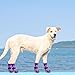 SCENEREAL Anti Slip Dog Socks to Prevent Licking Paws for Hardwood Floors, Double Sides Dog Shoes Boots & Paw Protectors for Hot/Cold Pavement, Dog Grippy Booties for Small Medium Large Senior Dogs