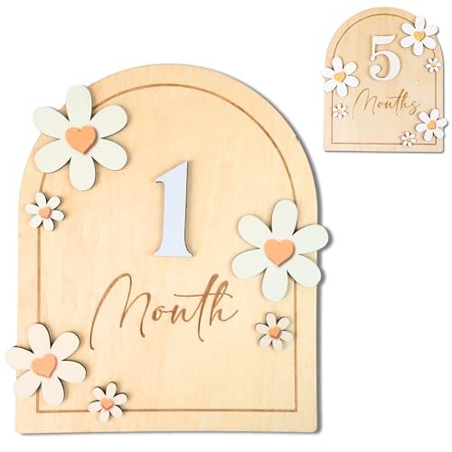 Image of Baby Monthly Milestone Cards - Wooden Monthly Milestone Discs - Newborn Photography Props to Document Your Baby´s Growth - Baby Announcement Sign (B05)