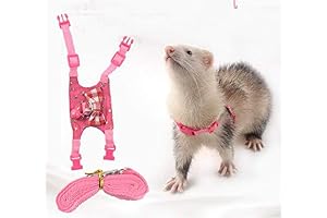 Cozy and Secure: Outdoor Walking Harness and Leash Set for Ferrets, Bunnies,...