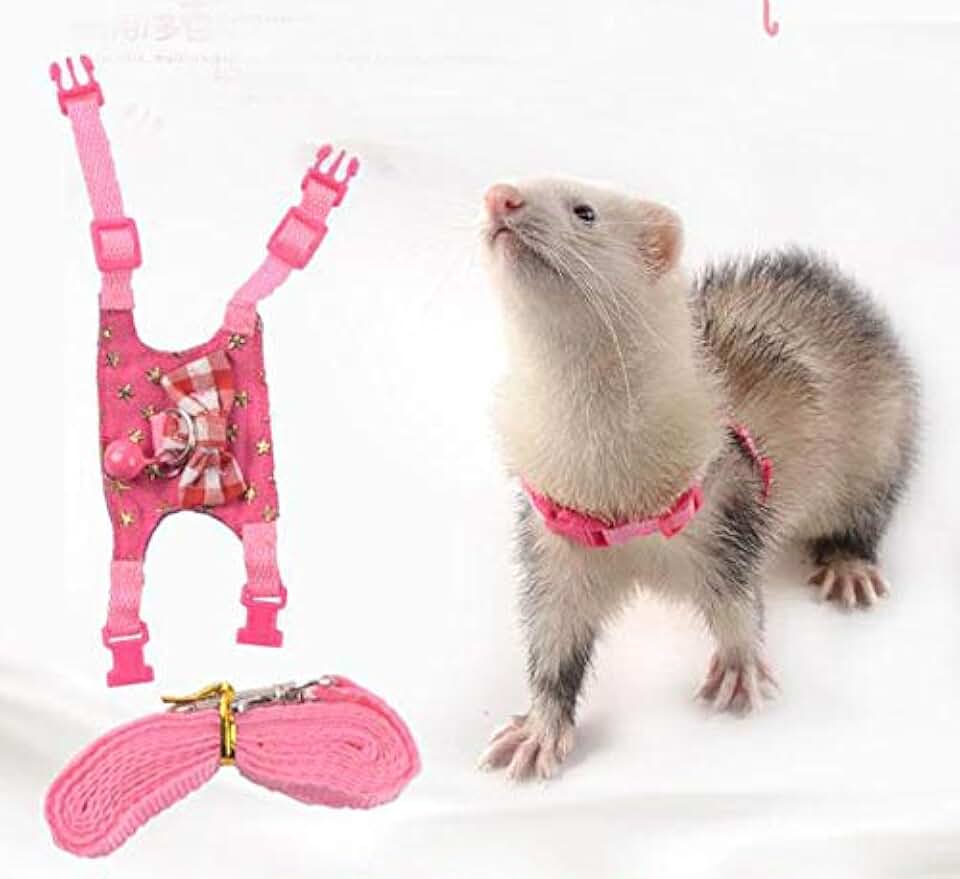 Small Animal Collars, Leashes & Harnesses