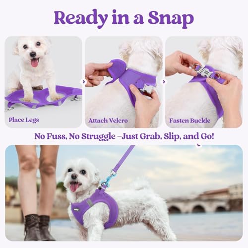 rabbitgoo Dog Harness Small Dog and Leash Set, Step-in Soft Mesh Puppy Harness with Reflective Strips, Lightweight Breathable Pet Vest for Walking Training, Purple, XS - Image 7
