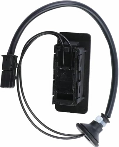 Interrupteur de hayon bloqué ? Commandez ce bouton 96940890 Chevrolet