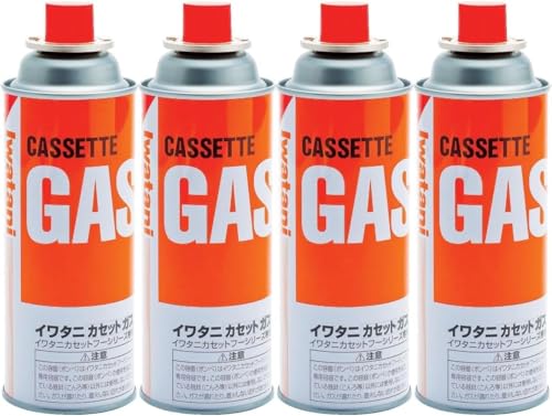 �J�Z�b�g�K�X �K�X�� �I�����W CB-250-OR �I���W�i���e�B�b�V���t�� (4�{)