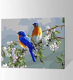 ifymei Paint by Numbers for Adults, Children, Beginners, DIY Gift Canvas Painting Kits with Frame, 12x16 Inch Two for Joy (Magpie)