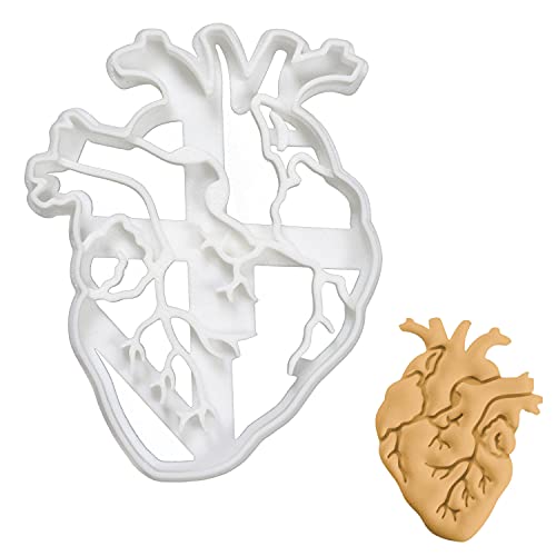 Anatomical Heart Cookie Cutter, 1 Piece - Bakerlogy #TOP15