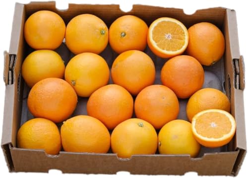 Vitalem – Caja de Naranjas Frescas 15kg (45-60 Piezas) | Fruta Natural y Ecológica | Cultivo Local Málaga | Directo del Agricultor | 100% Sostenible | Ideal para Zumos, Postres y Cocina Saludable