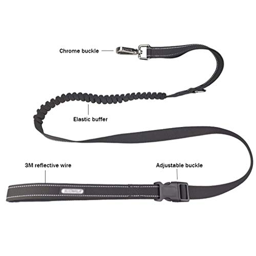 Adjustable multifunctional dog leash close-up on buckle and handle