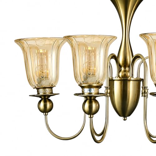 Image of Italian Chandelier Light, 6 Light Champagne Glass, Brass Finish for Dining Hall, Drawing Room, Lobby, Hall, Cafe, Hotel with 6 Filament Bulbs, Gold