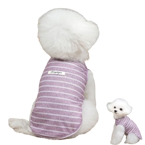 GIIPET �� �� �t�ĕ� �X�g���C�v �V���c �Ȑ� �ʋC�� ���� ������� �h�b�O�E�F�A ���^�� ���^�� ���K �L�k�� ����� �E�іh�~ �U�� ���o���� (�p�[�v��, XS(0.5-1.5kg))