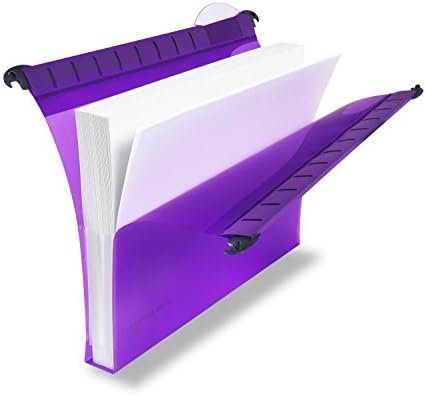 Rexel Heavy Duty Suspension Files with Tabs and Inserts for Filing Cabinets, 30 mm base, 310 mm x 240 mm, Polypropylene, Assorted Colours, Multifile Extra Secura, Pack of 10, 2102573
