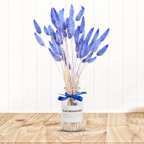 Vesaneae 60 Pezzi Fiori Secchi Decorativa 40cm